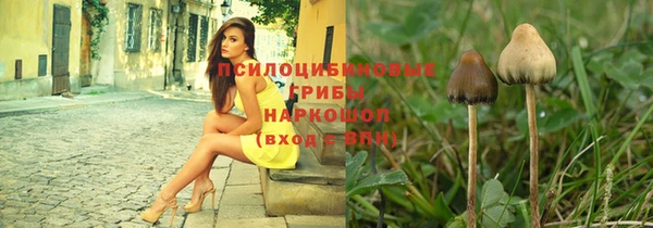 тгк Няндома