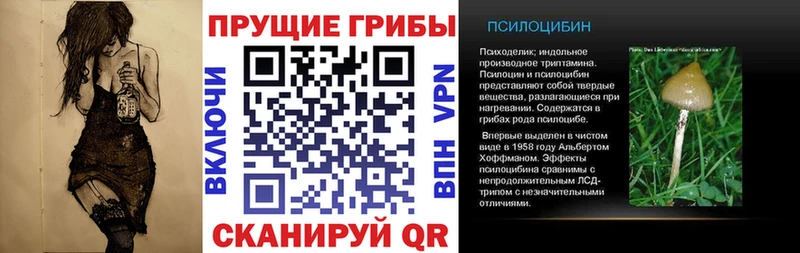 продажа наркотиков  Кумертау  Галлюциногенные грибы ЛСД 